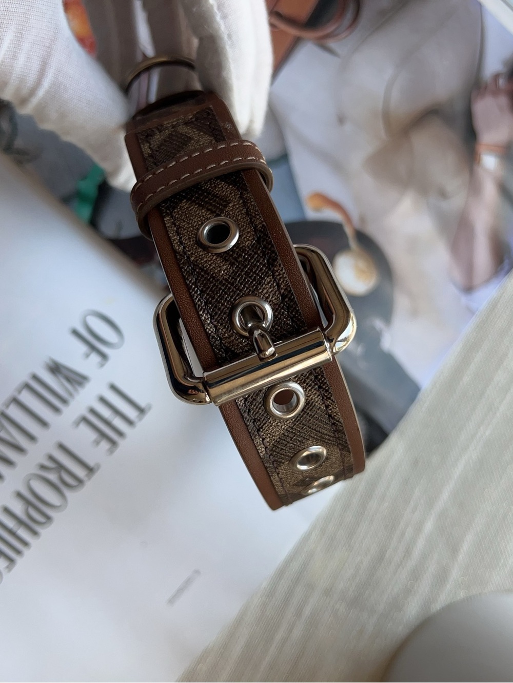 FENDI Zucca Dog Collar